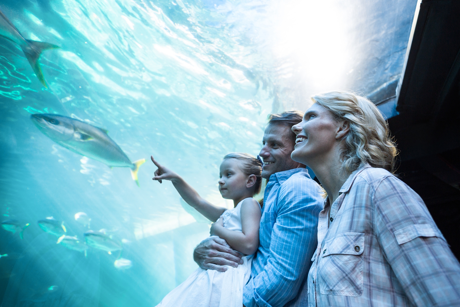 The Florida Aquarium