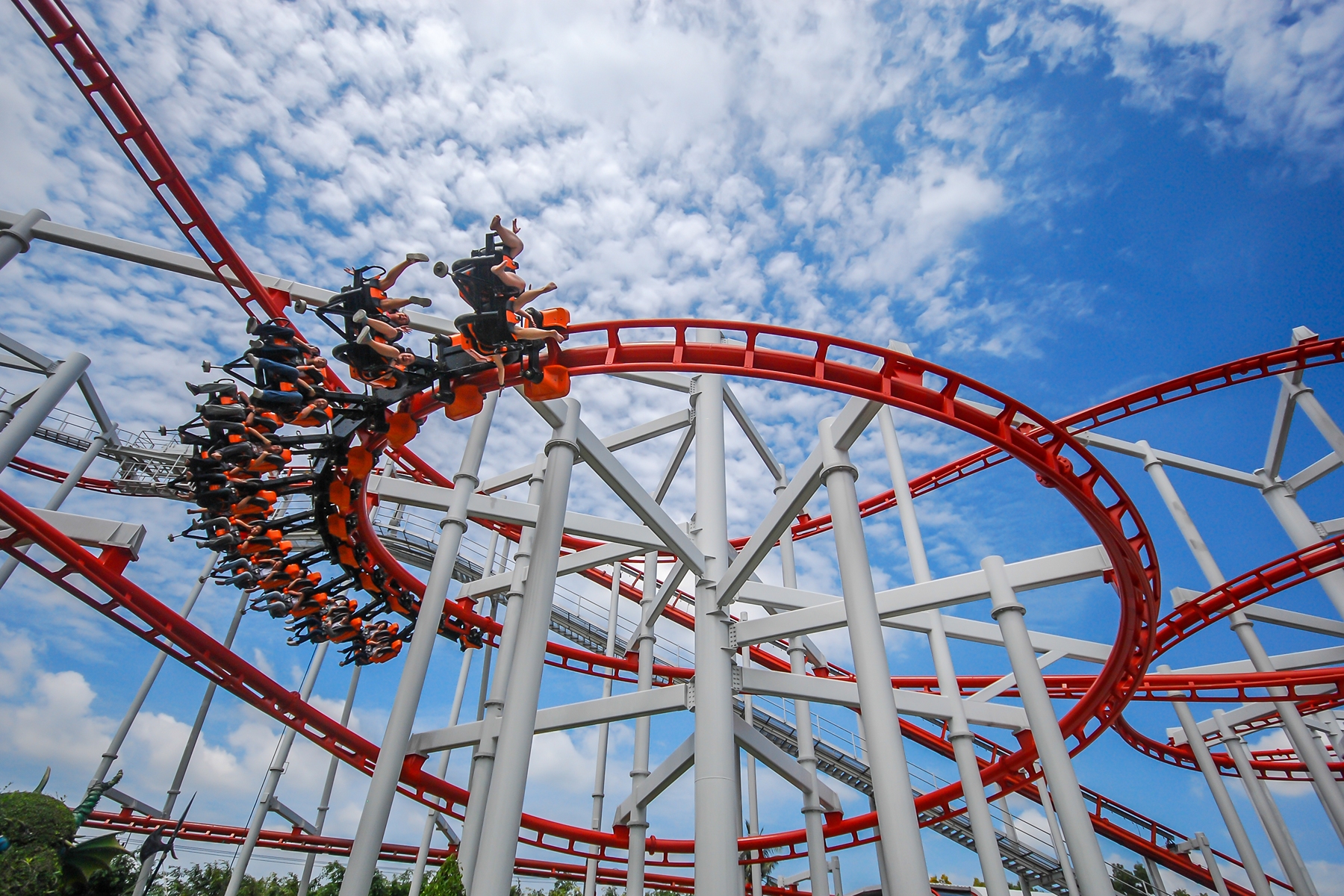 Busch Gardens Tampa Bay